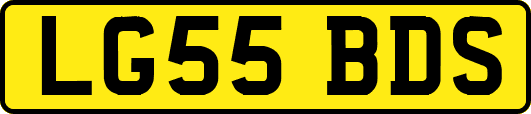 LG55BDS