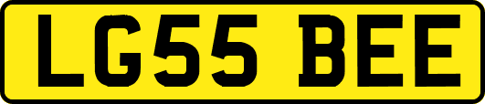 LG55BEE