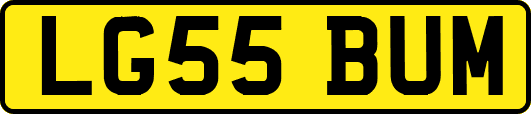 LG55BUM