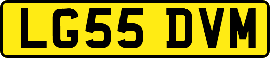 LG55DVM