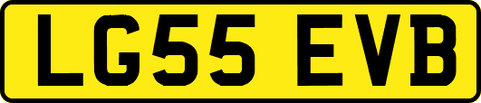 LG55EVB