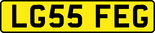 LG55FEG