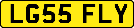 LG55FLY