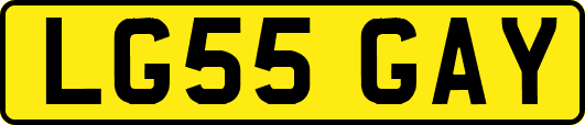 LG55GAY