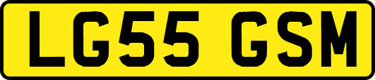 LG55GSM