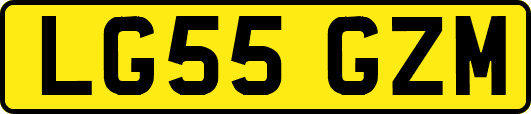 LG55GZM