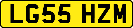 LG55HZM