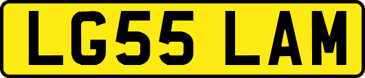 LG55LAM