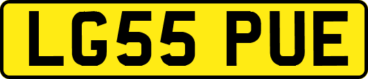 LG55PUE