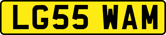 LG55WAM
