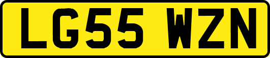 LG55WZN