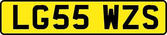 LG55WZS