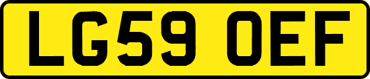 LG59OEF