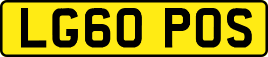 LG60POS