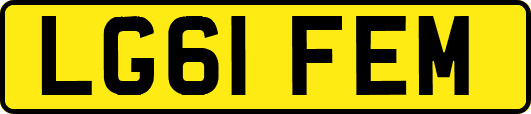 LG61FEM