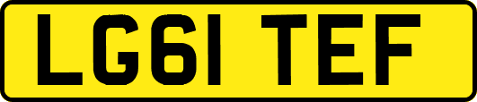 LG61TEF