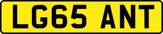 LG65ANT