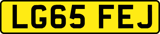 LG65FEJ