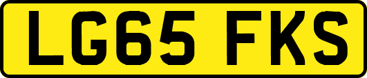 LG65FKS