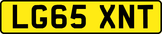 LG65XNT