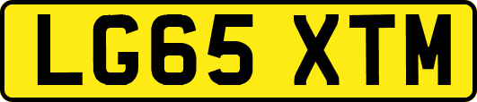 LG65XTM