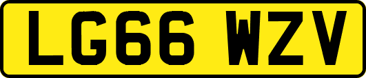 LG66WZV