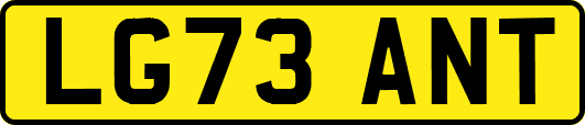 LG73ANT