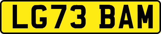 LG73BAM