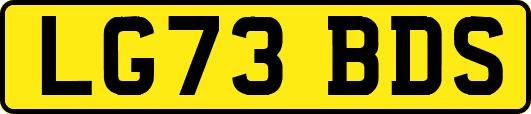 LG73BDS