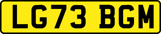LG73BGM
