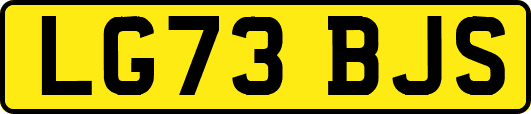 LG73BJS