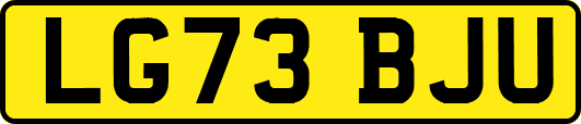 LG73BJU