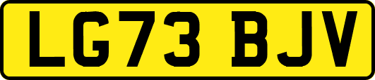 LG73BJV