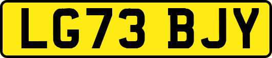 LG73BJY