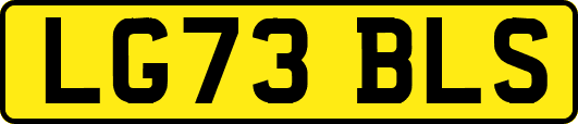LG73BLS