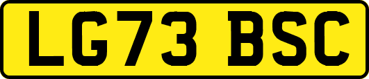 LG73BSC