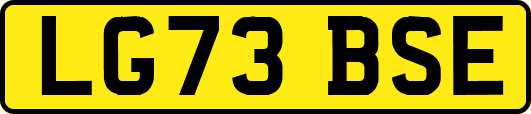 LG73BSE