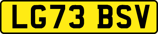 LG73BSV