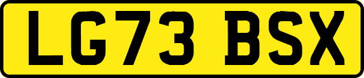 LG73BSX