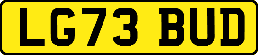 LG73BUD