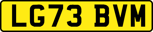 LG73BVM