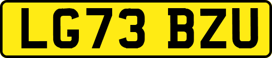 LG73BZU