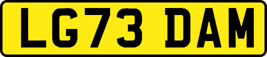 LG73DAM