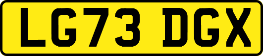 LG73DGX