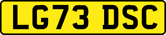 LG73DSC