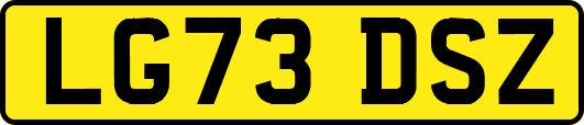 LG73DSZ