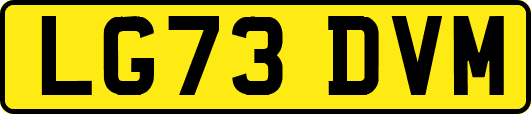 LG73DVM