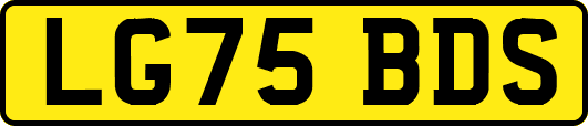 LG75BDS