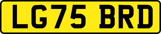 LG75BRD
