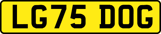 LG75DOG